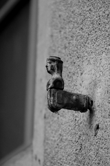 28122025- MG 7796