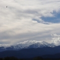 02042026- MG 8656
