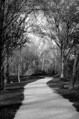 02042026- MG 8671