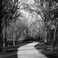02042026- MG 8671
