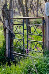 02042026- MG 8693