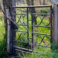 02042026- MG 8693