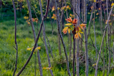 02042026- MG 8697