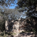 03042026- MG 8728