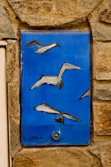 03042026- MG 8789