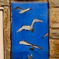 03042026- MG 8789