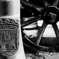 03042026- MG 8791