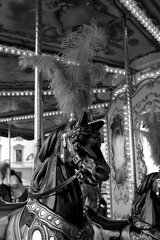 22072026-IMG 3583
