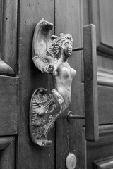 23072026- MG 3679
