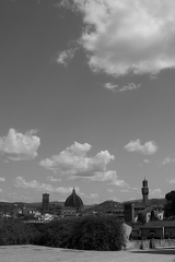 24072026- MG 3715