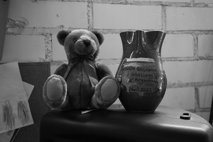 21042024- MG 3579