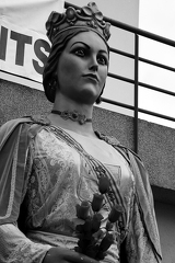 21042024- MG 3586
