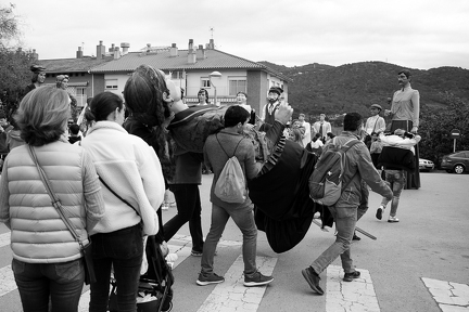 21042024- MG 3734