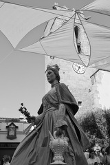 05072024- MG 6313