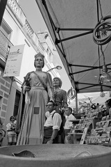 05072024- MG 6328