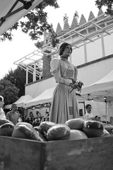 05072024- MG 6390