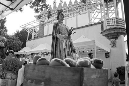 05072024- MG 6393