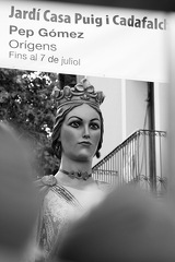 05072024- MG 6521