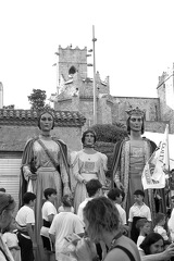 03082024- MG 7456