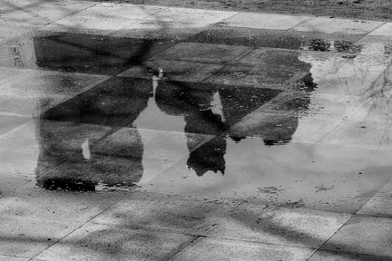 27042025- MG 4588