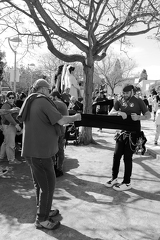 27042025- MG 4696