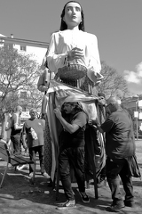 27042025- MG 4828