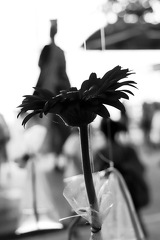 09062025- MG 8959