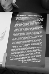 04072025- MG 0275