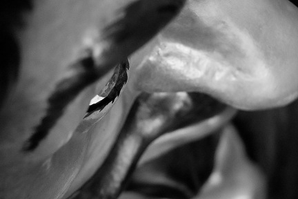 02082025- MG 0740