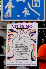 04082025- MG 2996