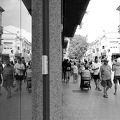 04082025- MG 3319