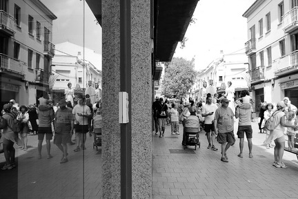 04082025- MG 3319