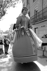 19042026- MG 9353