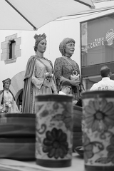 03072026- MG 2471
