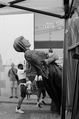 03072026- MG 2487