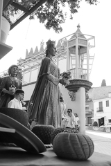 03072026- MG 2620