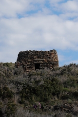 21032026- MG 8375