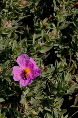 21032026- MG 8379