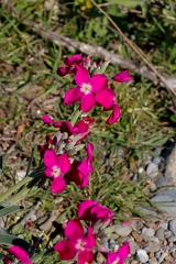 21032026- MG 8589