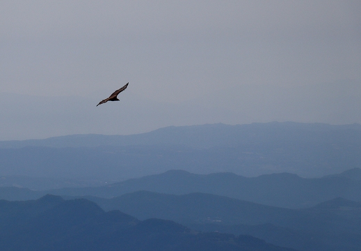 30052026- MG 0121