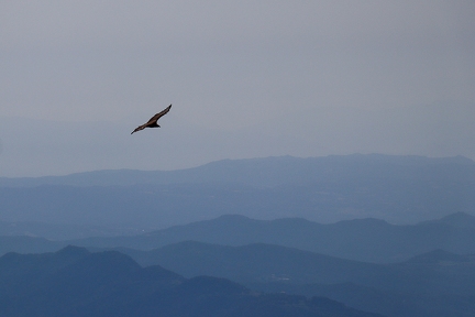 30052026- MG 0121