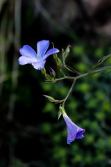 30052026- MG 0149