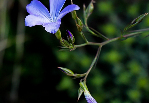 30052026- MG 0149
