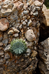 30052026- MG 0360