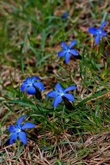 30052026- MG 0364
