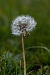 30052026- MG 0385