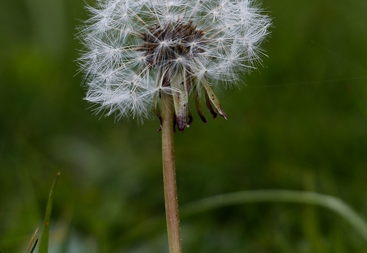 30052026- MG 0385