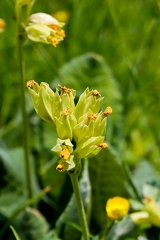 30052026- MG 0413