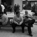 21042024- MG 3532