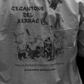 21042024- MG 3552